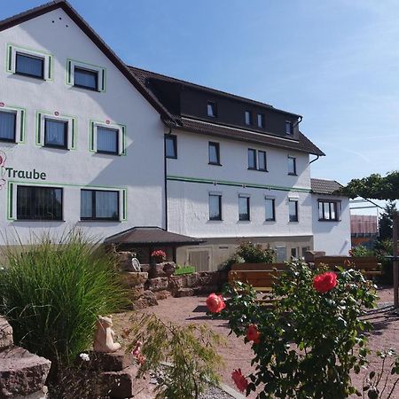 Landhotel Traube Seewald Exterior photo